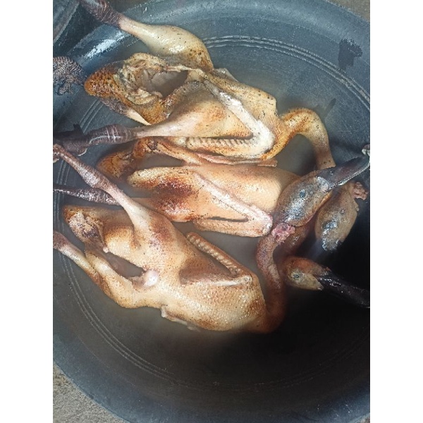 

bebek coklat