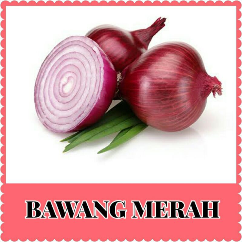 Benih Bibit Bawang Merah