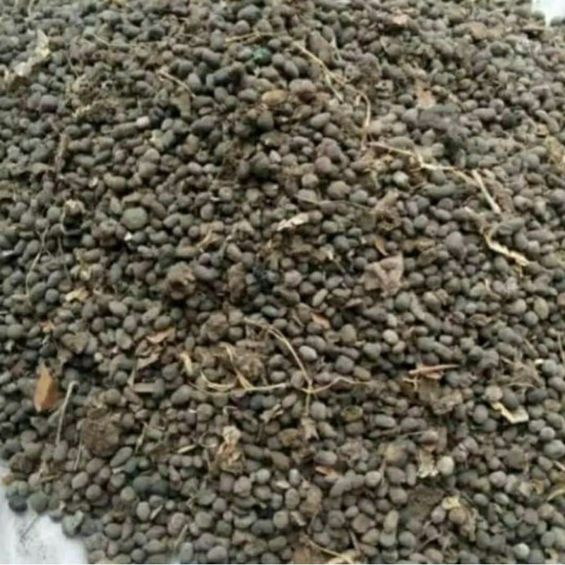 pupuk kotoran tai kambing