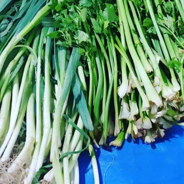 

Daun Sop/Pre /100gr