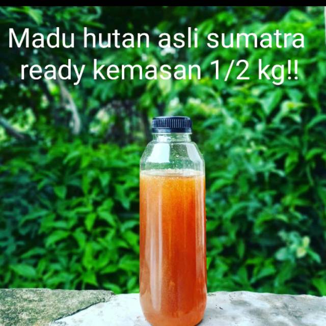 

Madu Hutan Asli Sumatera