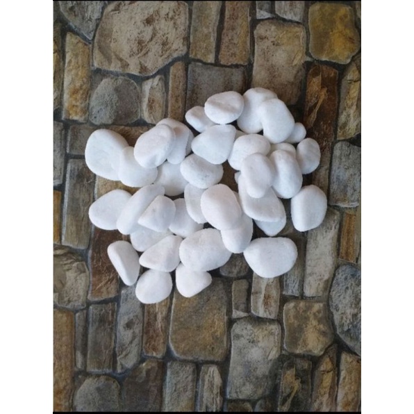 Batu Koral Putih Italy 1kg size Besar L XL