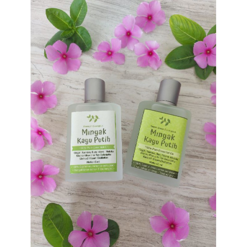 Minyak kayu putih asli ambon pulau buru / eucalyptus essential oil / minyak kayu putih maluku