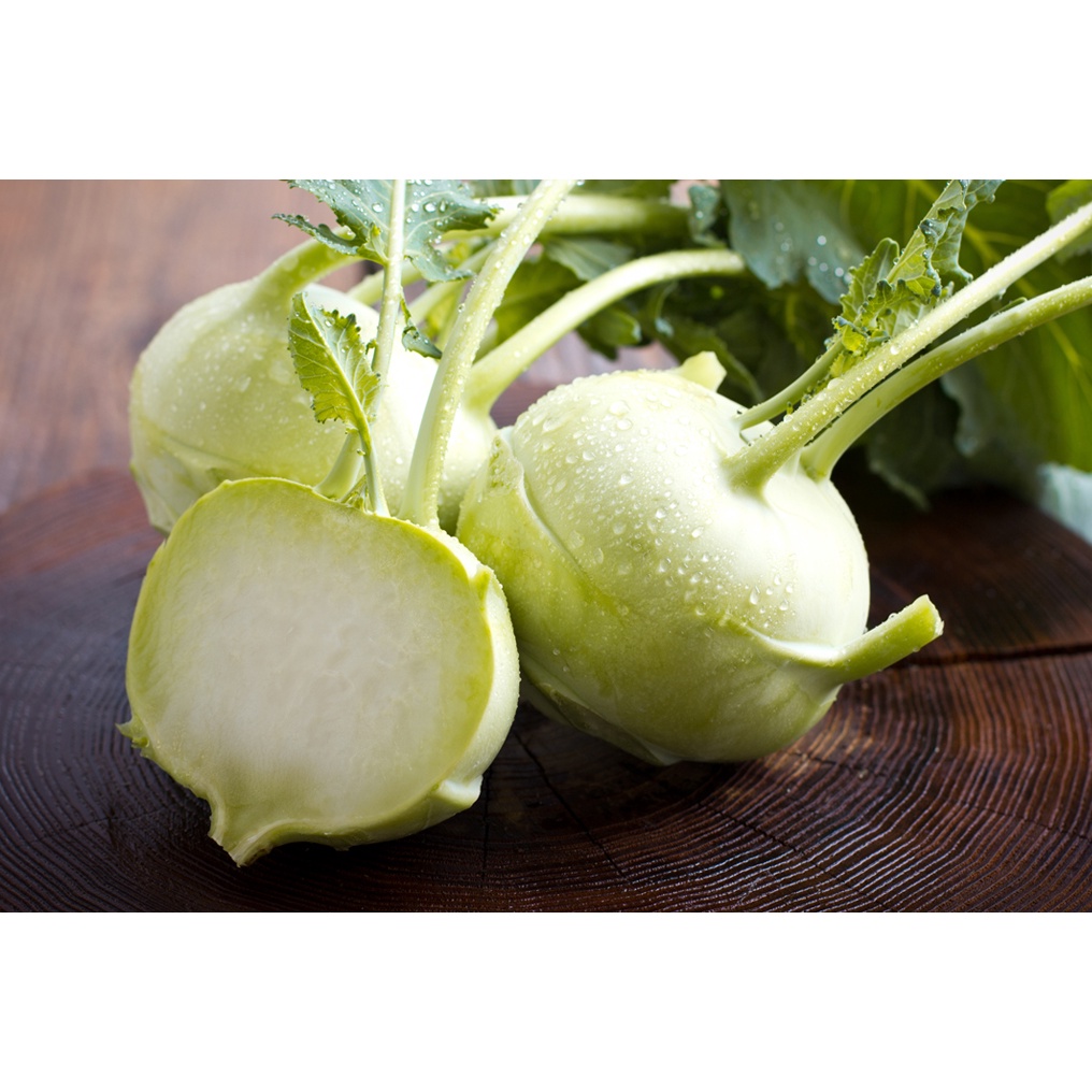 Benih Bibit Biji - Kohlrabi Early White Vienna Seeds - IMPORT