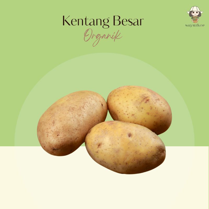

Kentang Besar Organik 1kg