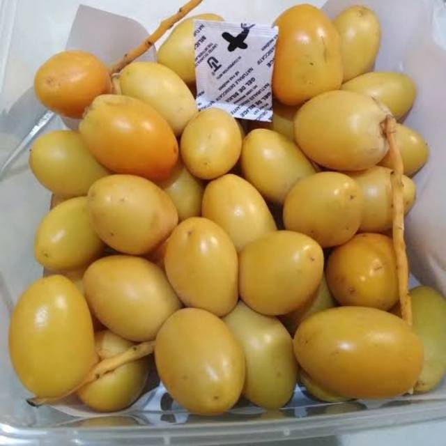 

Kurma Muda 0.5 Kg