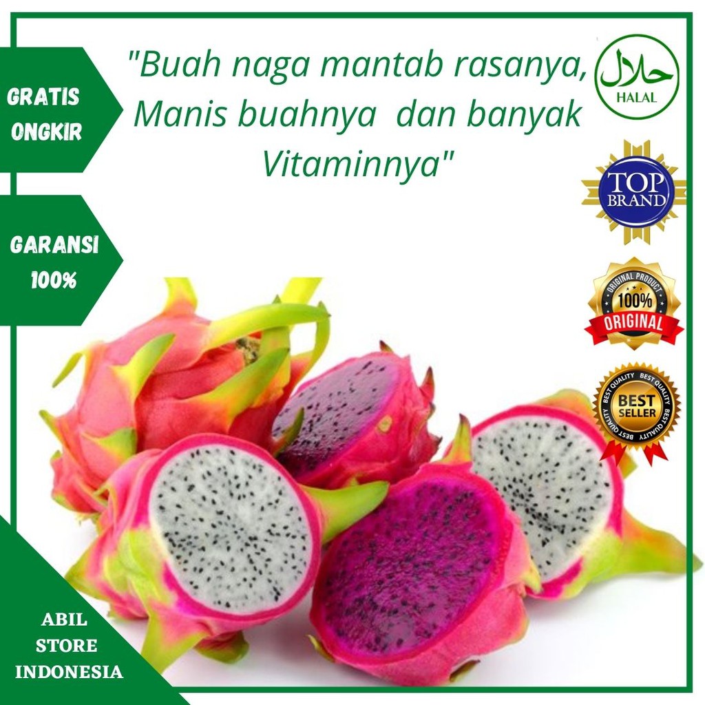 

SAYURAN SEGAR SAYUR CILACAP FRESH BERKUALITAS BUAH NAGA 500 GRAM
