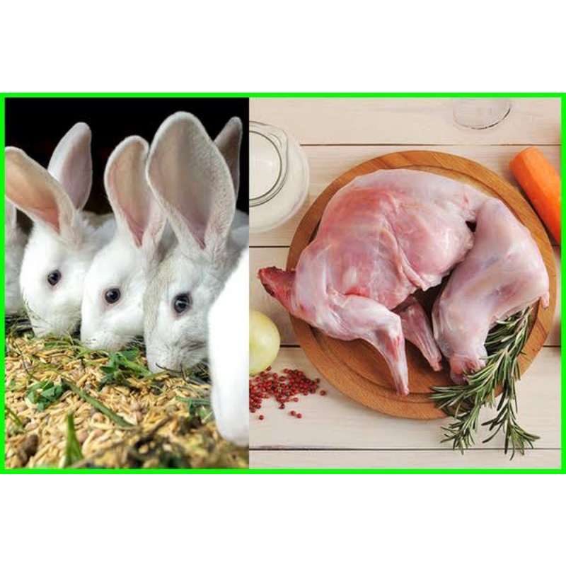 BONELES RABBIT MEET / DAGING KELINCI KARKAS