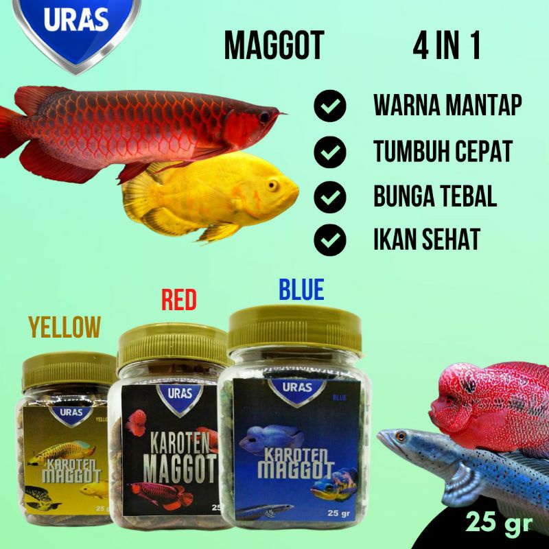 Maggot with Carophyll Pakan Ikan Predator Arwana Super Louhan Kamfa Koi Channa Maru Oscar Tiger Red
