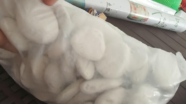 Batu Koral Kupang Putih Batu Hias Batu Alam
