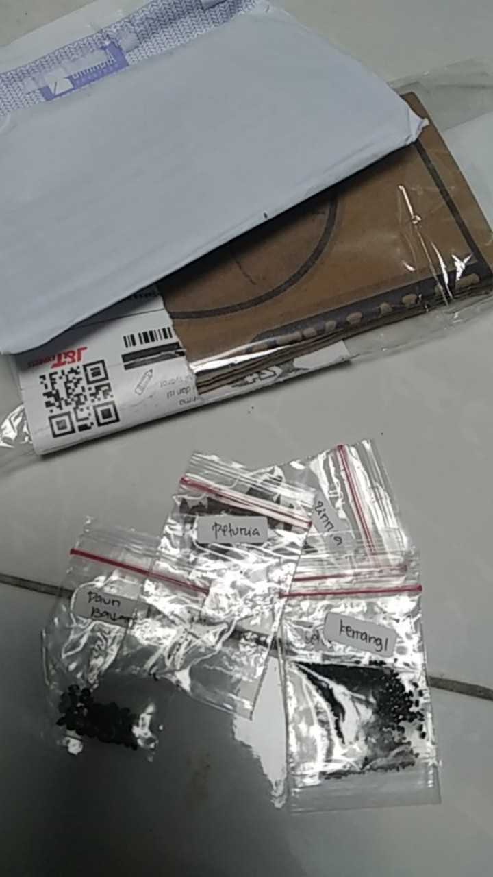 50 Benih Kemangi Repack