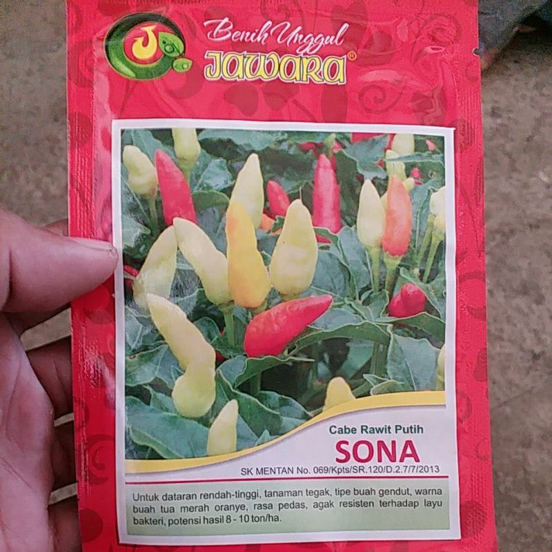 

cabai sona