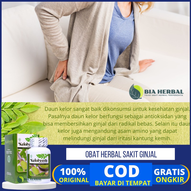 Obat Herbal Ginjal Kotor Obat Pembersih Ginjal Dengan Kelor Membersihkan Ginjal Kotor Alami Shopee Indonesia