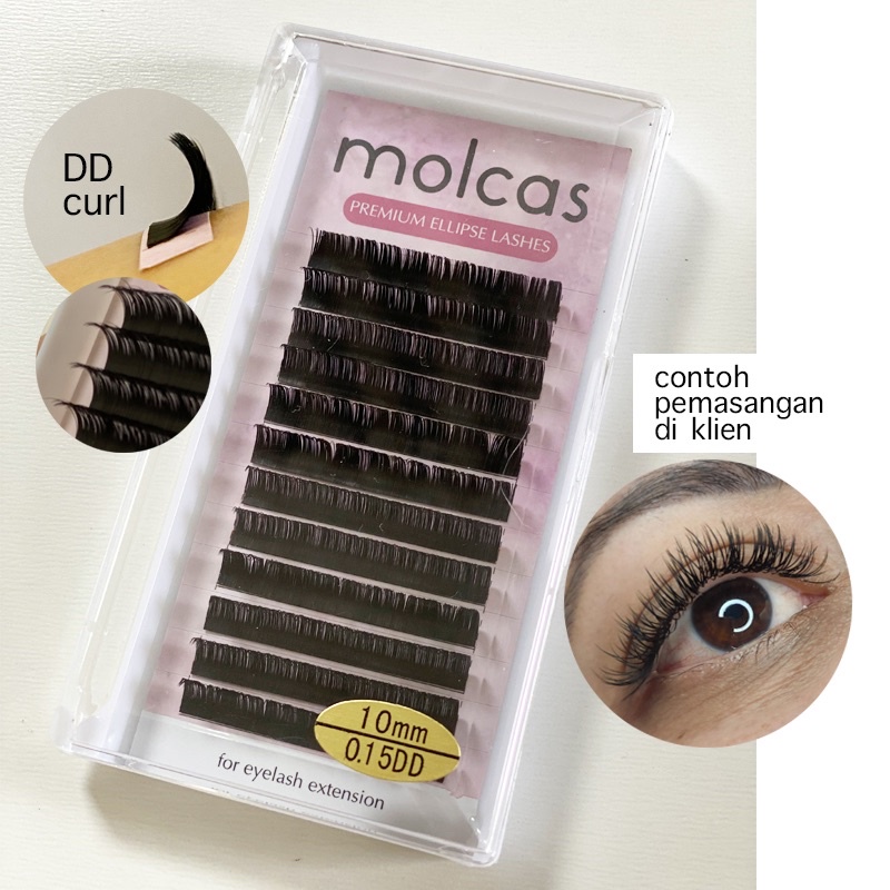 [MPCE] [special edition] MOLCAS ELLIPSE BLACK LASH BULUMATA SAMBUNG EYELASH EXTENSION KOREA