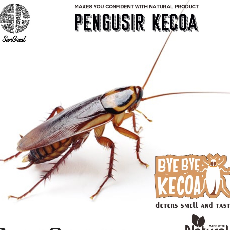 Semprotan kecoak Cairan pengusir kecoa anti kecoa spray SanGreat Bye Bye Kecoa repellent alami 250 ml untuk dapur rumah mobil