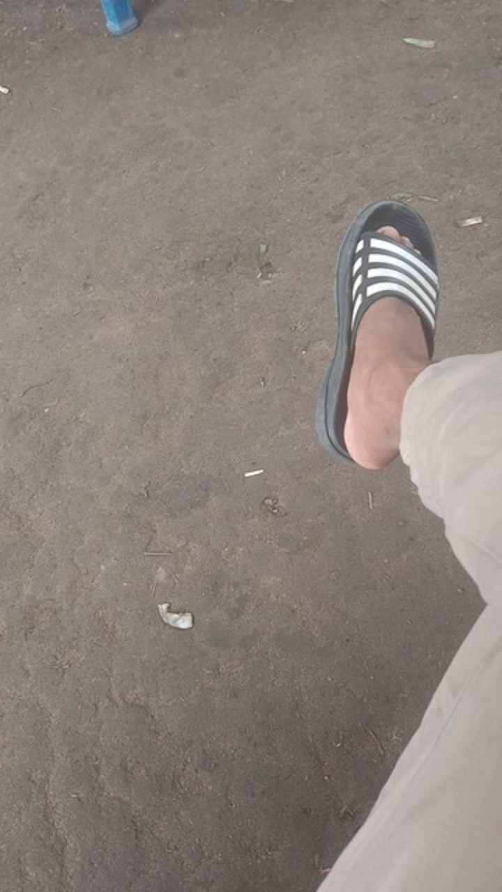 Kemeja Batik Pria Lengan Panjang Batik Pekalongan