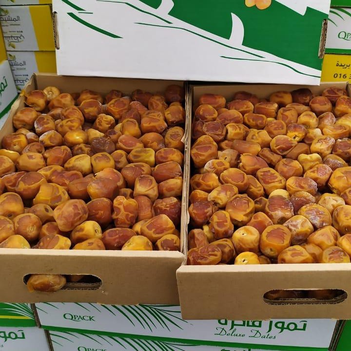 

Kurma Sukari Al Qasim 1box 3kg - Gudang Immune