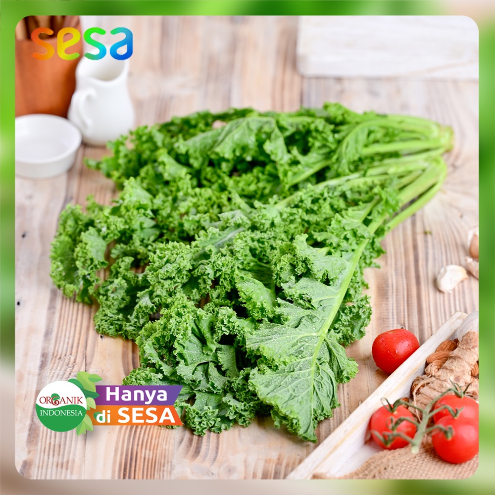 

KALE BATANG Sayur Organik 200gr - Sayuran Fresh Sehat