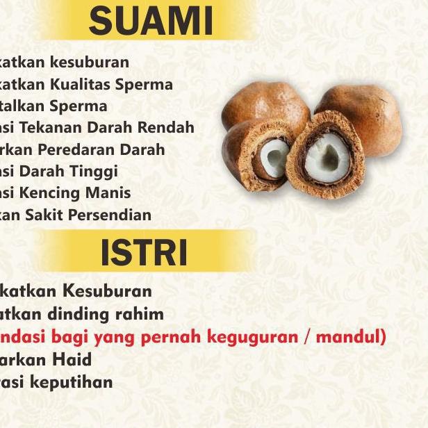 ✬ Buah Zuriat Ibnu Sina 500 gr 1 Kg Madu 220 ml Buah Zuriat Mesir 100% Original Promil Free Test Pac