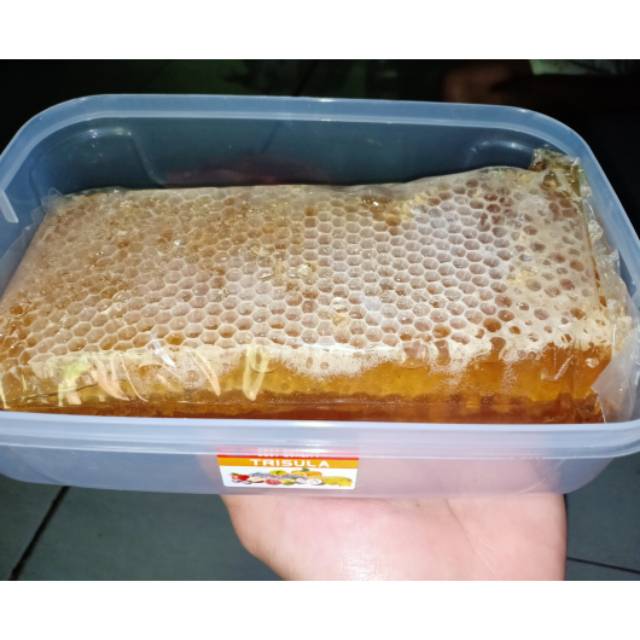

Madu Sarang 500gr