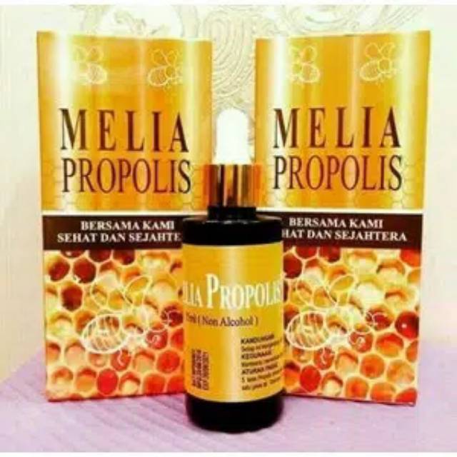 Obat herbal propolis melia