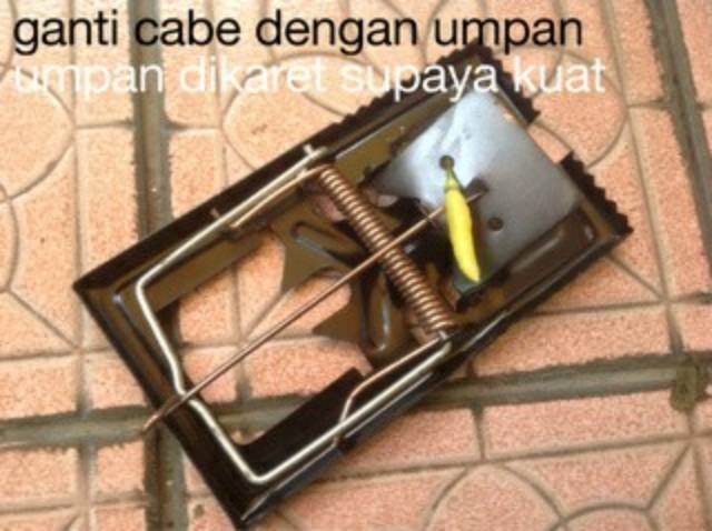 IMURA | Jebakan Tikus Sistem Jepretan