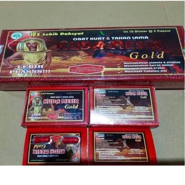 Paket 20 Box Herbal Kapsul Kuda Mesir Gold Original