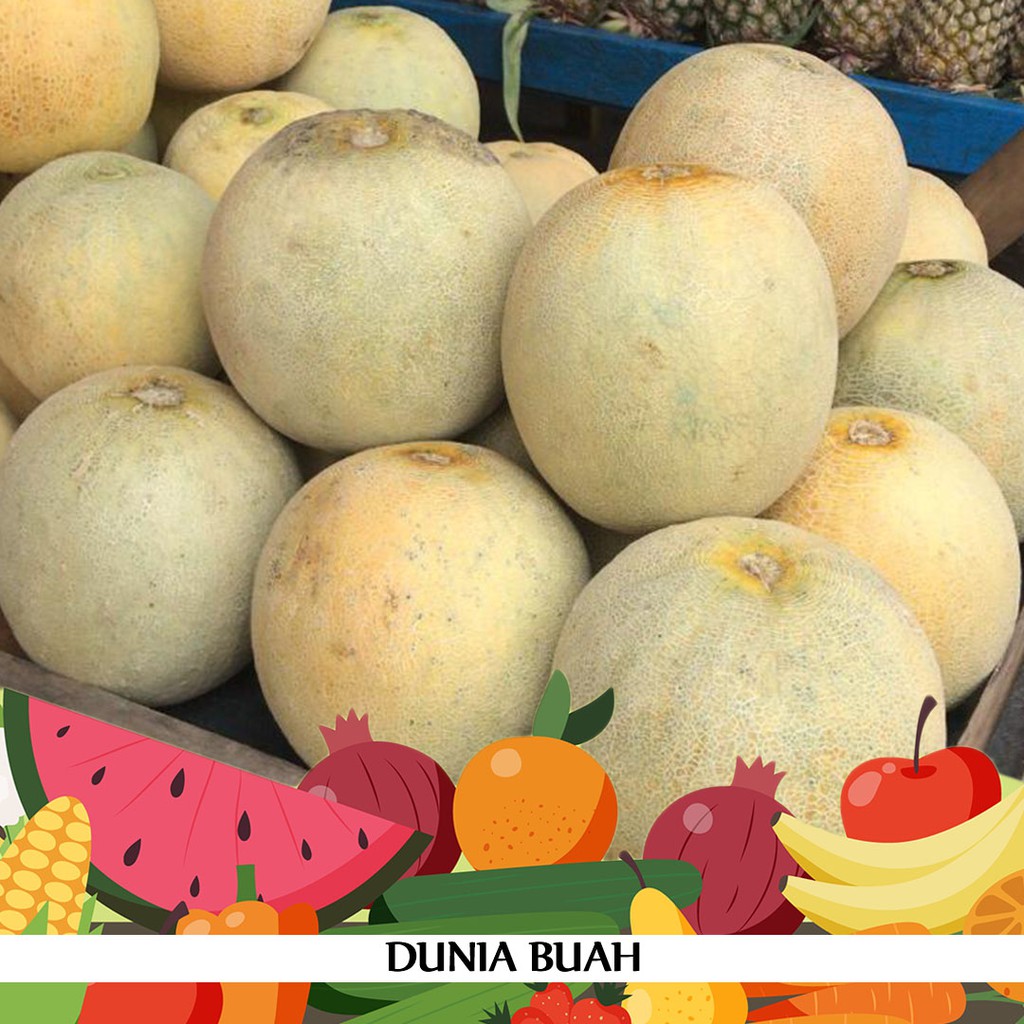 

Buah Melon Segar Langsung dari Petani by Dunia Haji
