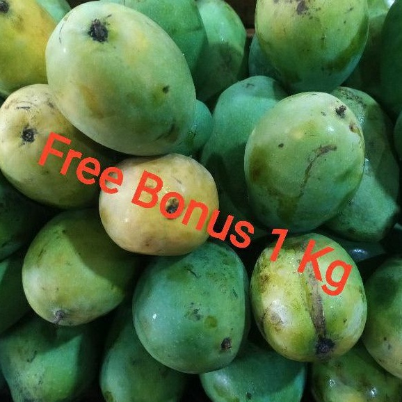 

Mangga Harus Manis 1 Kg + Gratis Bonus