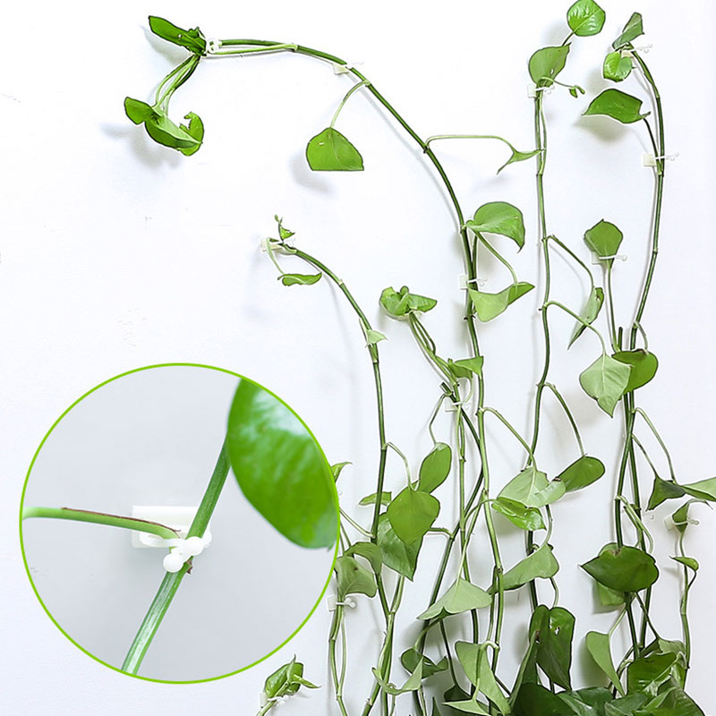 10Pcs Invisible Wall Vines Fixture Clips/Plant Climbing Wall Sticky Plastic Cable Storage Hook/Self-adhesive Garden Balcony Decoration Fixer Holder