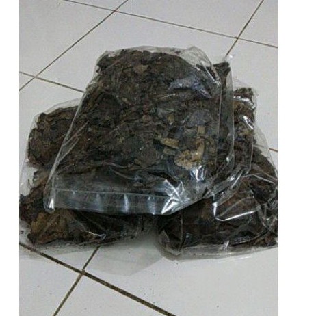 

DAUN KETAPANG MERAH PANTAI OLAHAN SIAP PAKAI ISI BANYAK