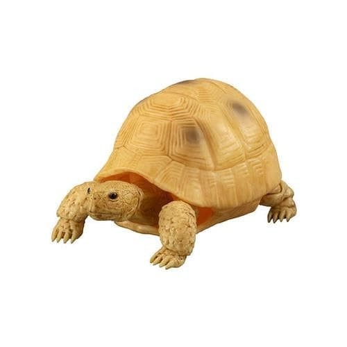 Promo Gashapon Turtle Yellow Arab Greek Tortoises Termurah