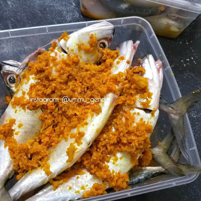 

ikan gembung bumbu tinggal goreng - isi 6 ekor