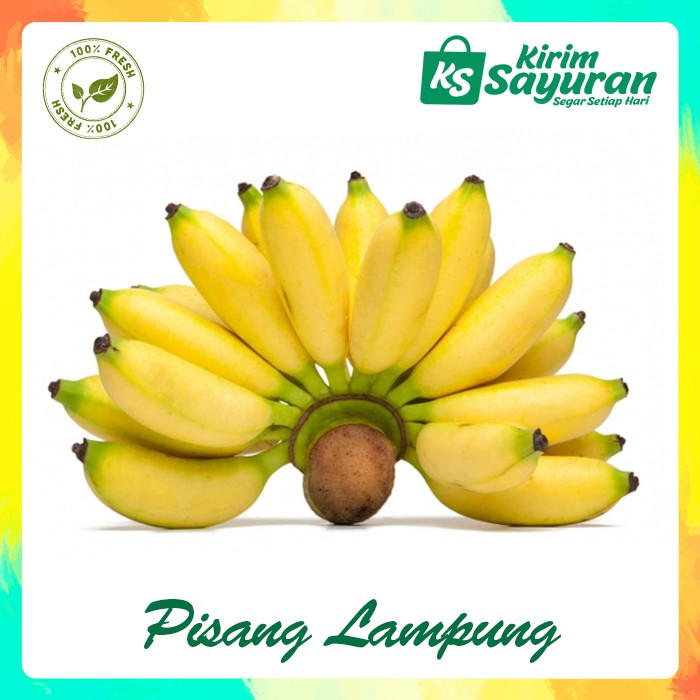 

Pisang Lampung (1 sisir)