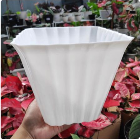 Pot Bunga Kotak New Cornelius 27 Putih / Pot Tanaman / Pot Plastik