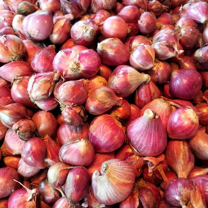 

------] bawang merah