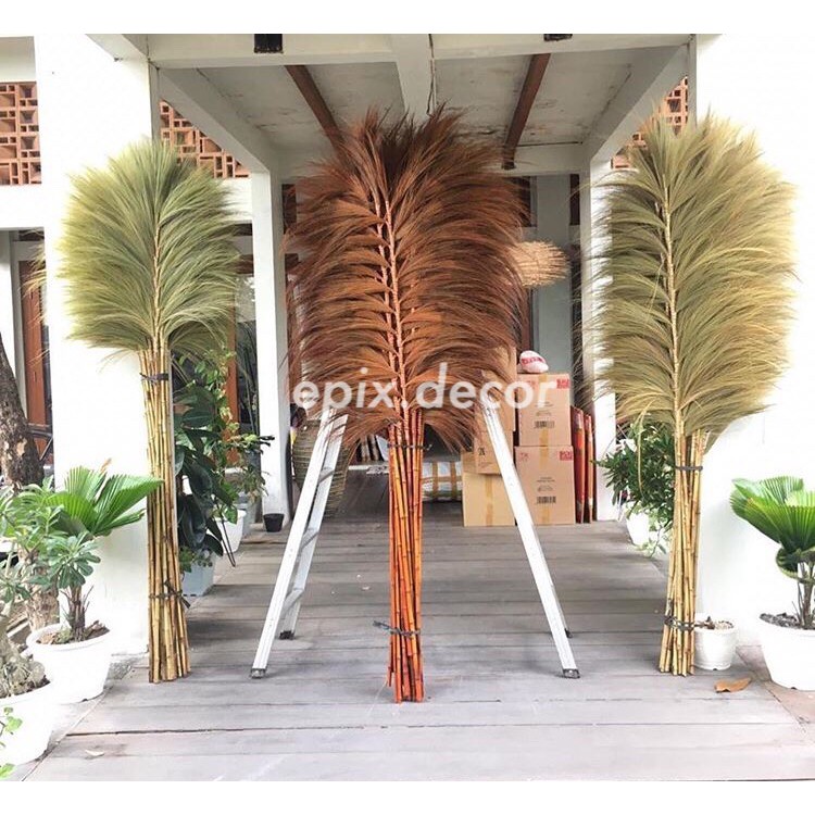 Rayung Stik/ Hiasan Bunga Kering Dekorasi rumah