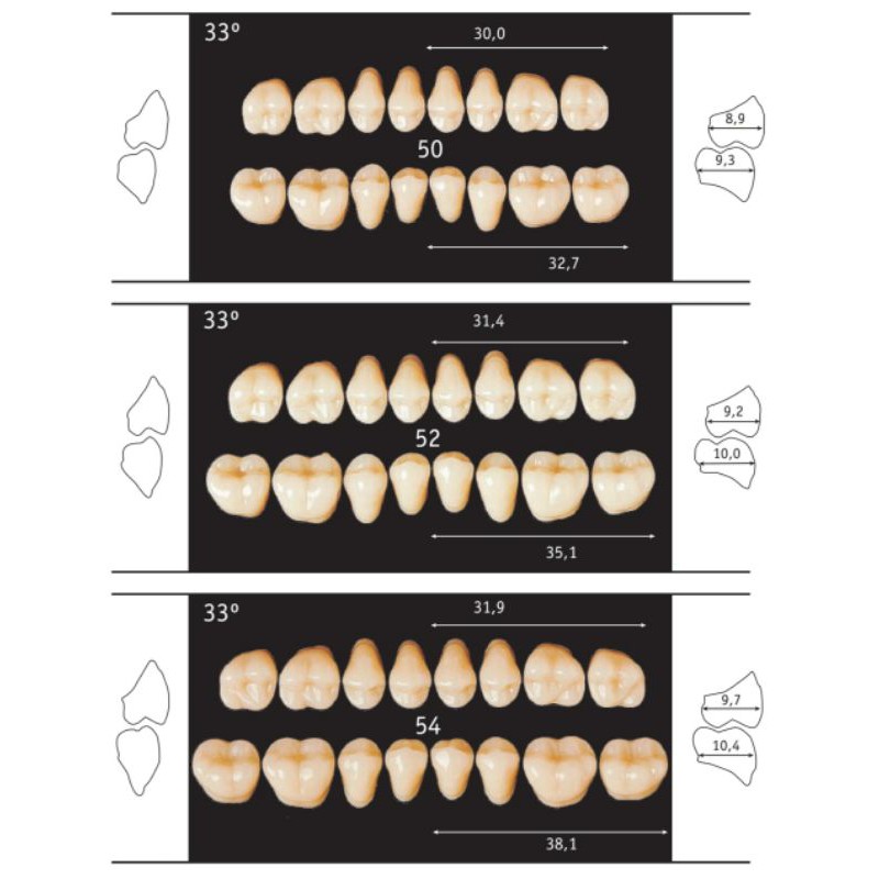 1 strip Gigi Palsu Akrilik ORTOLUX TOP | Acrylic Teeth