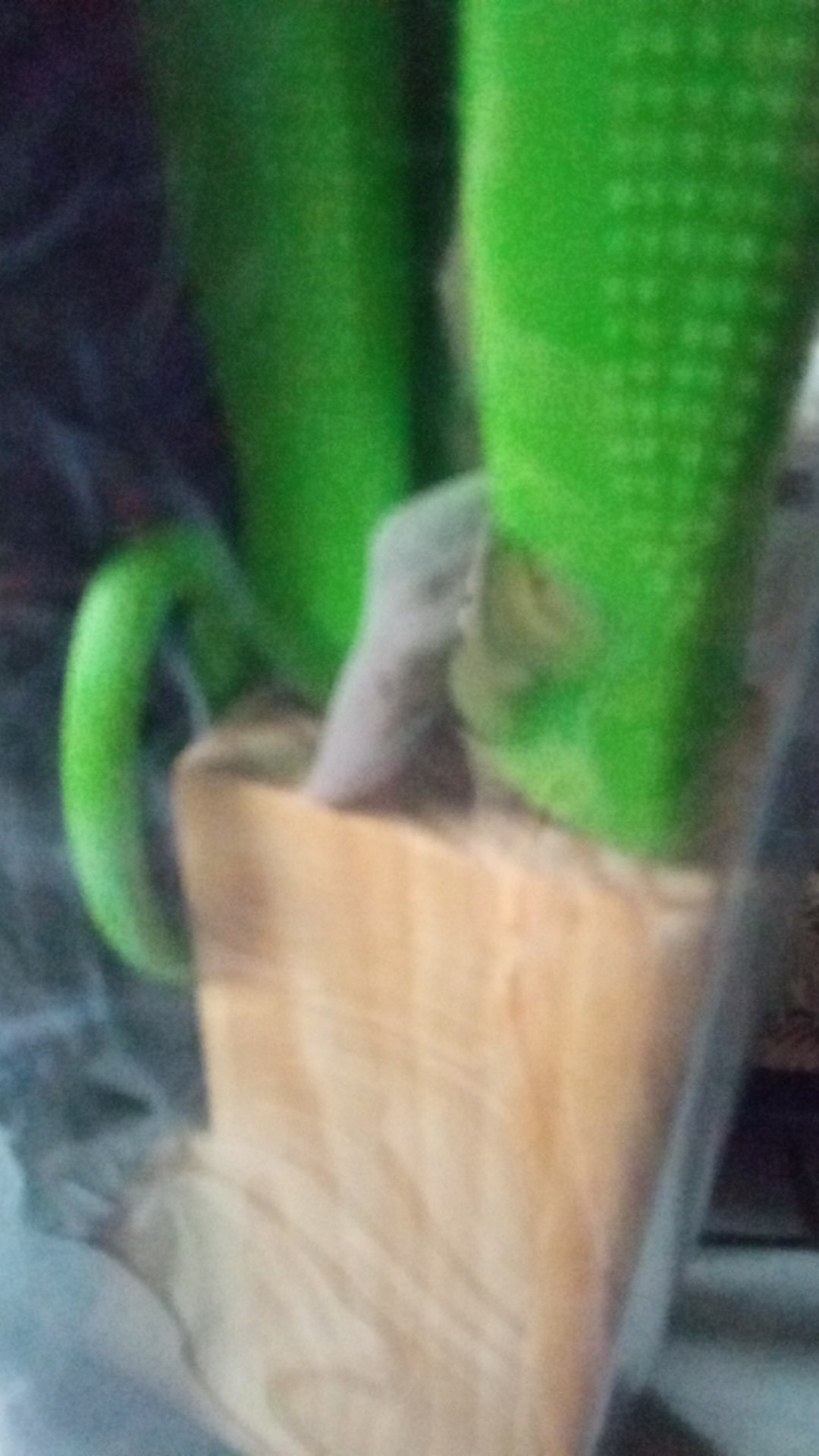 (cod) Pisau Oxone Ox 961 / Ox-961 Knife Set