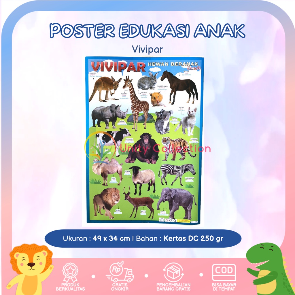 Poster Dinding Edukasi Anak Belajar Gambar Vivipar Binatang Beranak