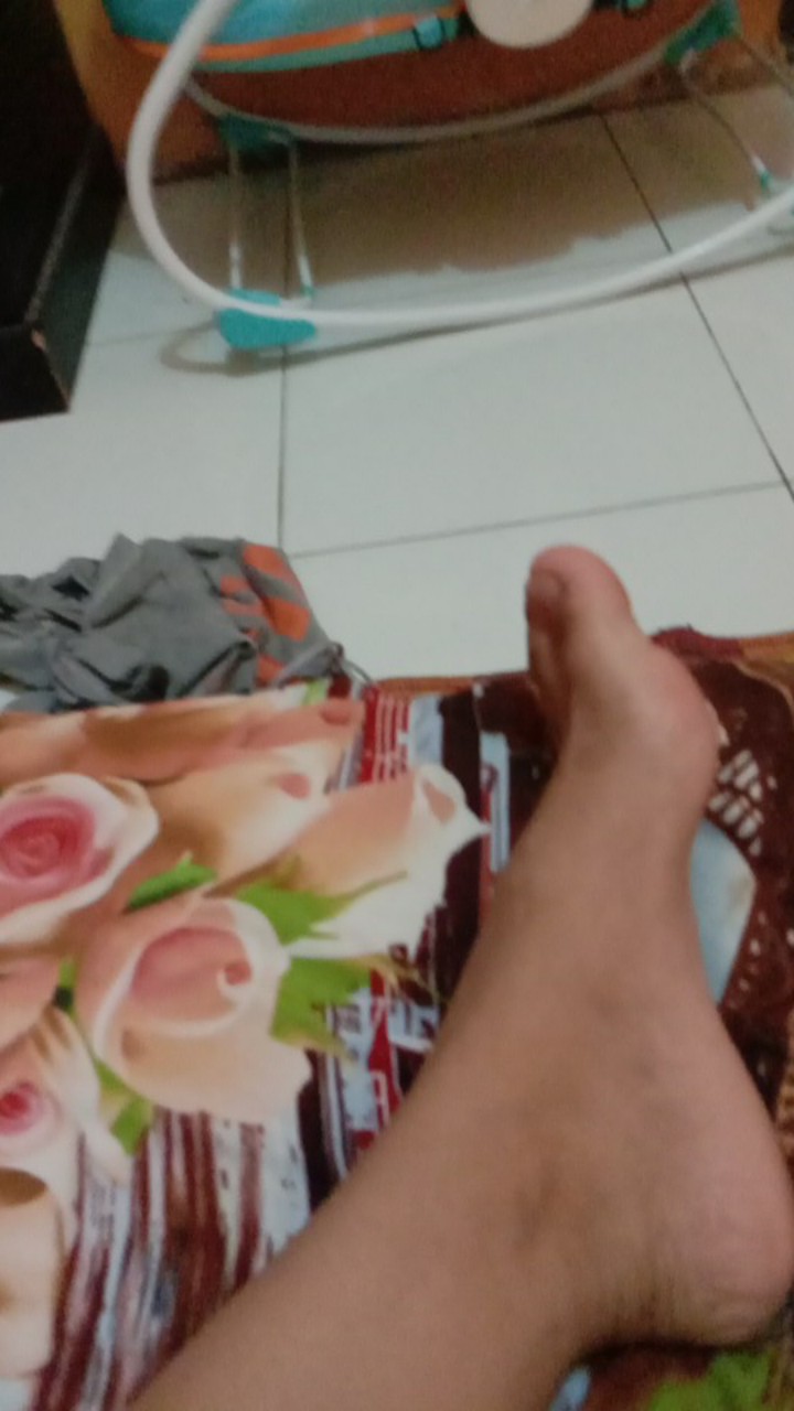 Alat Kukus / Steamer Maspion Dandang Alcor 24 Cm