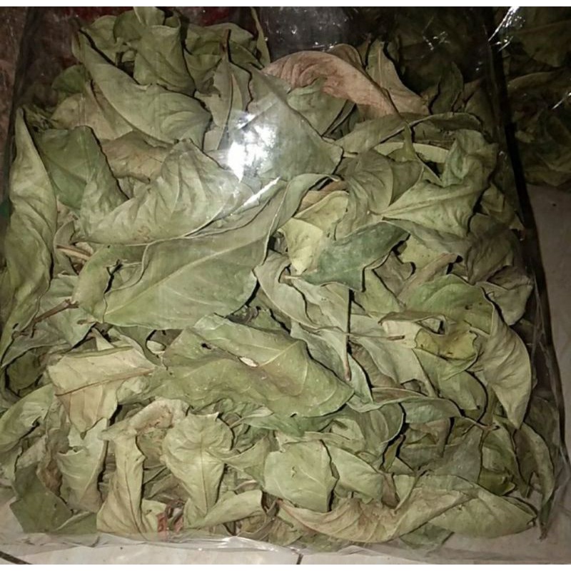 

Daun salam kering