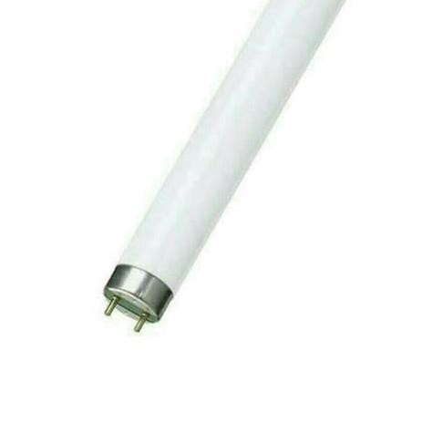 ELEKTRONIK | LAMPU | ↳ PERLENGKAPAN LISTRIK | PHILIPS TL NEON 15W TL-D LIFEMAX 15 WATT /765 |