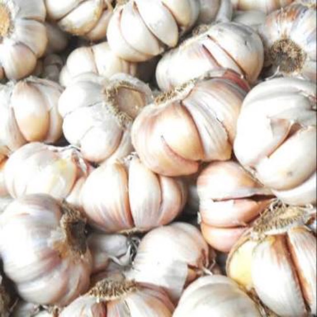 

BAWANG PUTIH BIASA SUPER