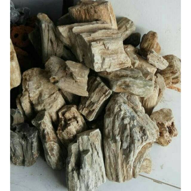 Batu Fosil Aquascape 1kg 1 kg Hardscape Hiasan Aquarium Fossil Stone