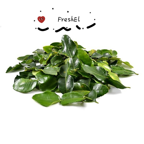 

FreshEl - DAUN JERUK 1 pack