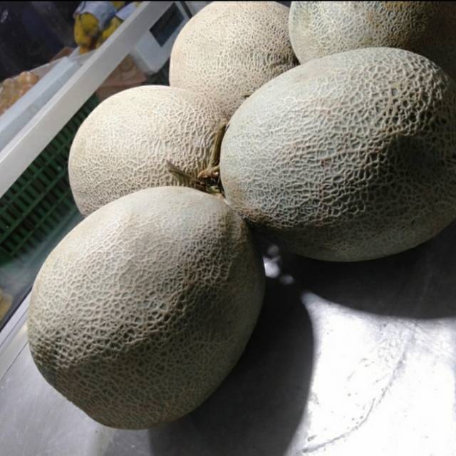 

Melon Orange Min Berat 1.5 kg