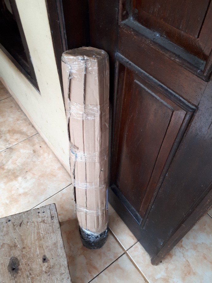 Bibit Jambu Air Madu Susu