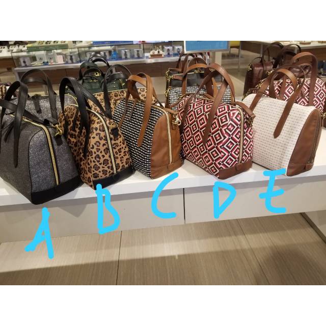Tas fosil pre order