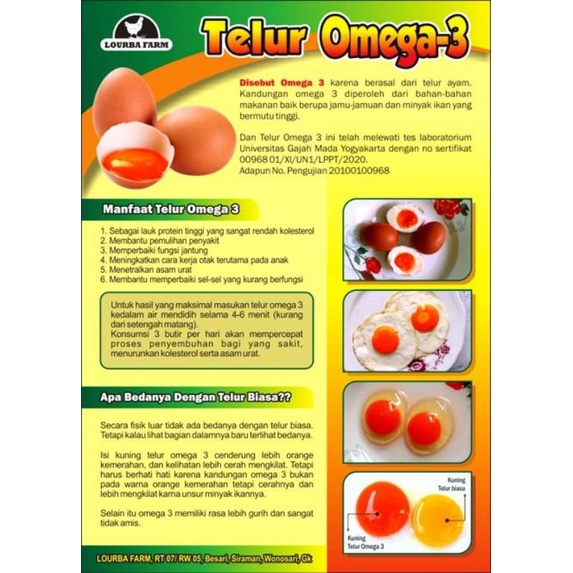 Telur Omega 3 kualitas Premium Grade A langsung dari peternak barang selalu fresh kuning telor orange garani omega #garansi usng balik